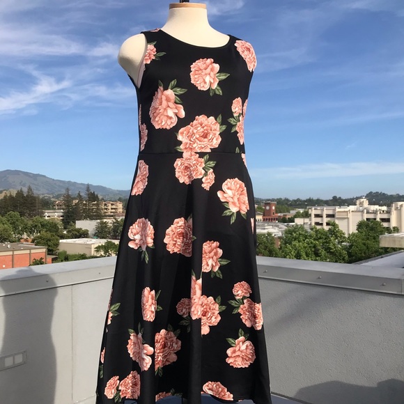 agnes and dora fit and flare dress